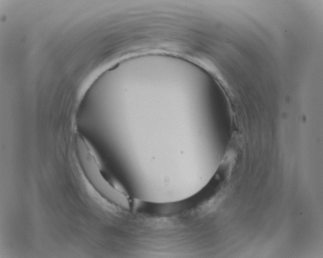 X0000076271524200610262017