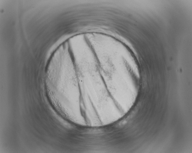 X0000076271525200610262017