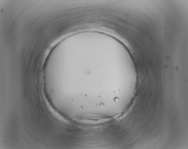 X0000076271526200610262017