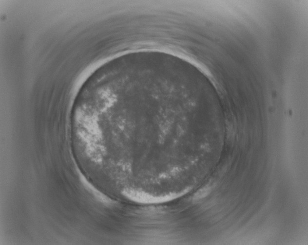 X0000076271527200610262017