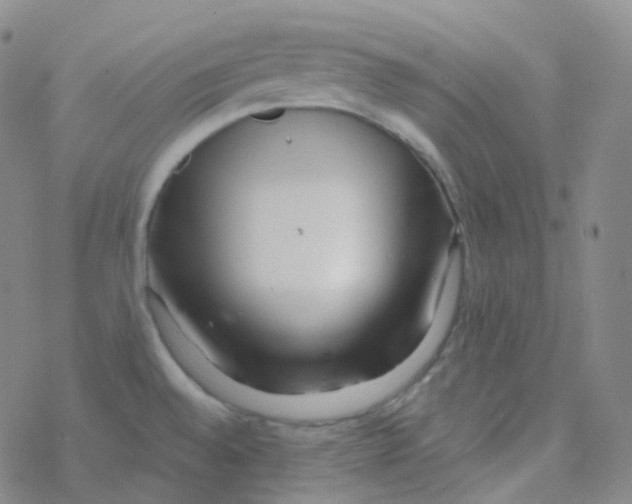 X0000076271528200610262017