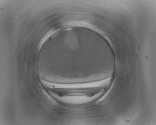 X0000076271529200610262017