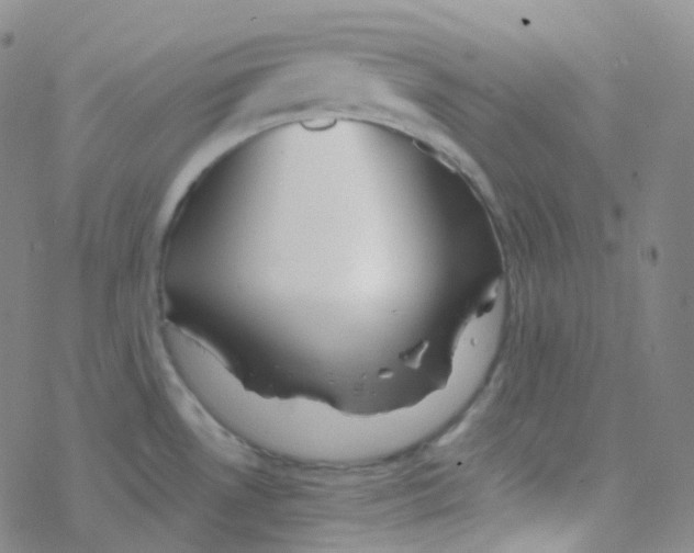 X0000076271530200610262017