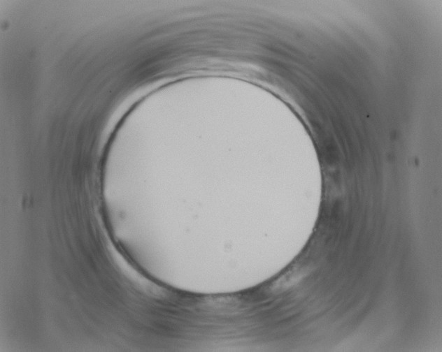 X0000076271531200610262017