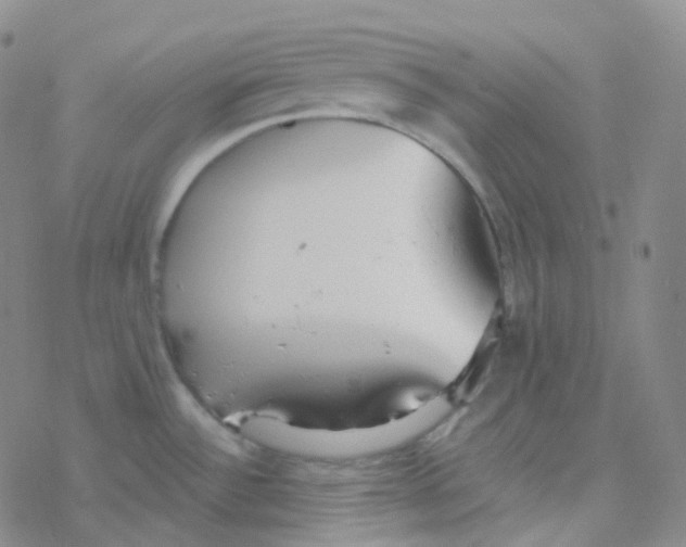 X0000076271532200610262018