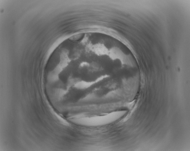 X0000076271533200610262018