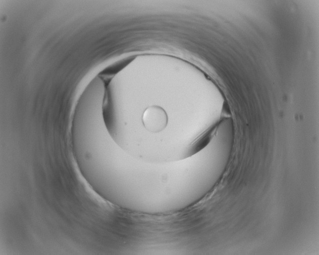 X0000076271536200610262018