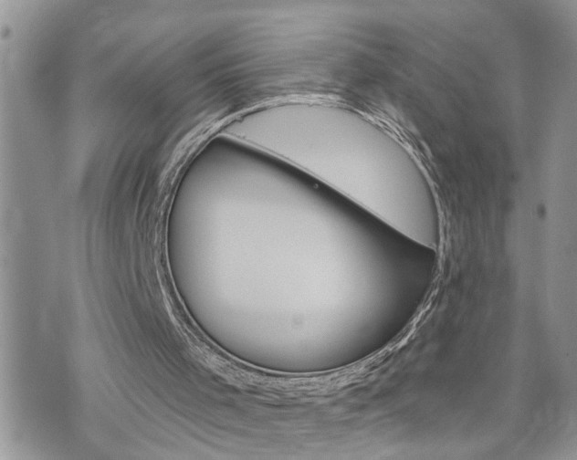 X0000076300001200609290741