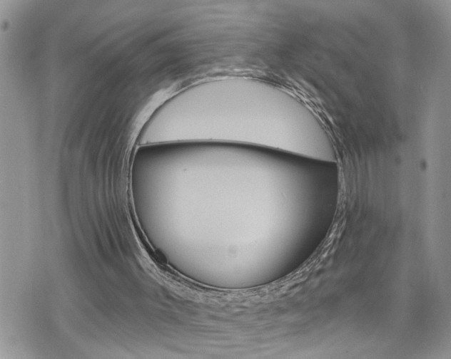 X0000076300003200609290740