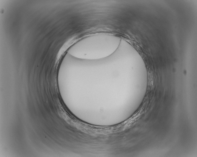 X0000076300004200609290740