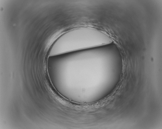 X0000076300005200609290740