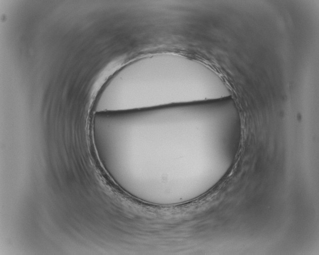 X0000076300006200609290740