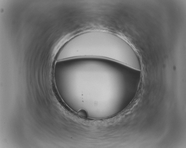 X0000076300007200609290740