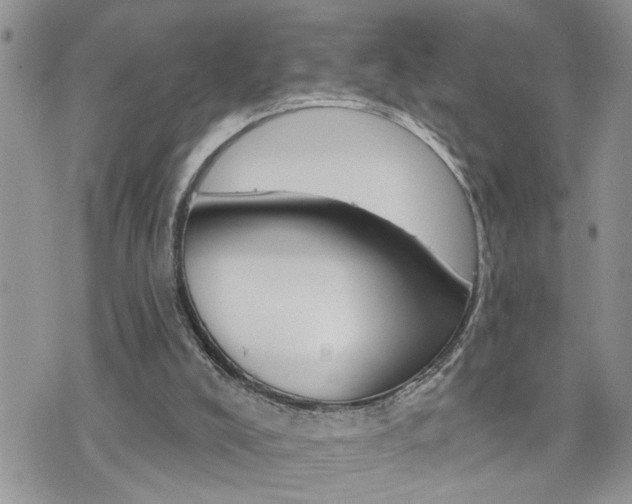 X0000076300008200609290740