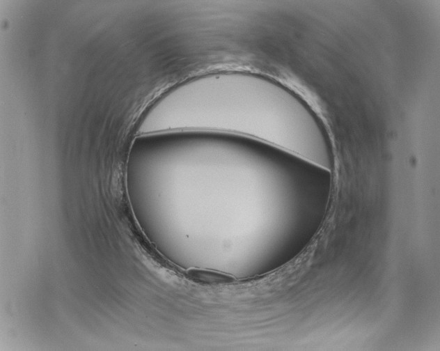 X0000076300009200609290740