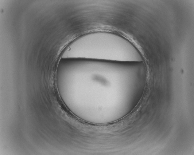 X0000076300010200609290740