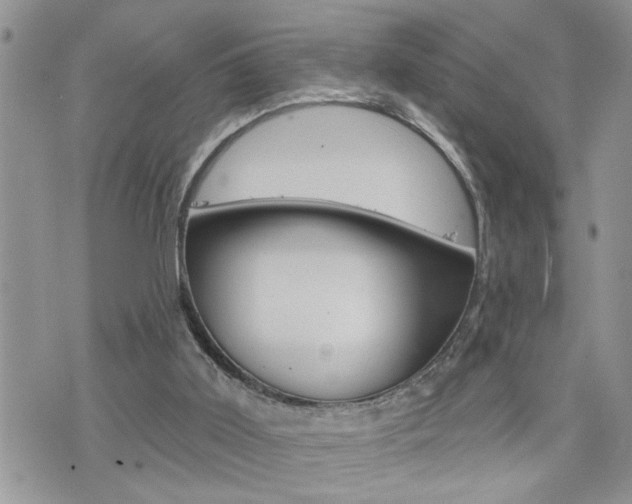 X0000076300011200609290740