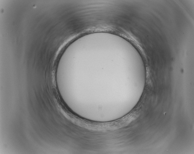 X0000076300012200609290740