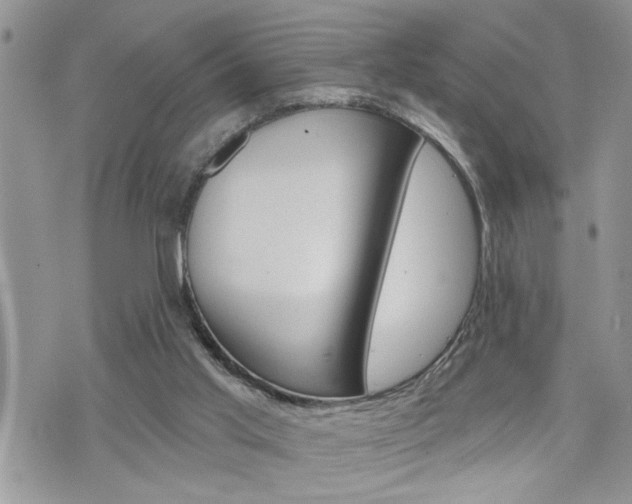 X0000076300013200609290740