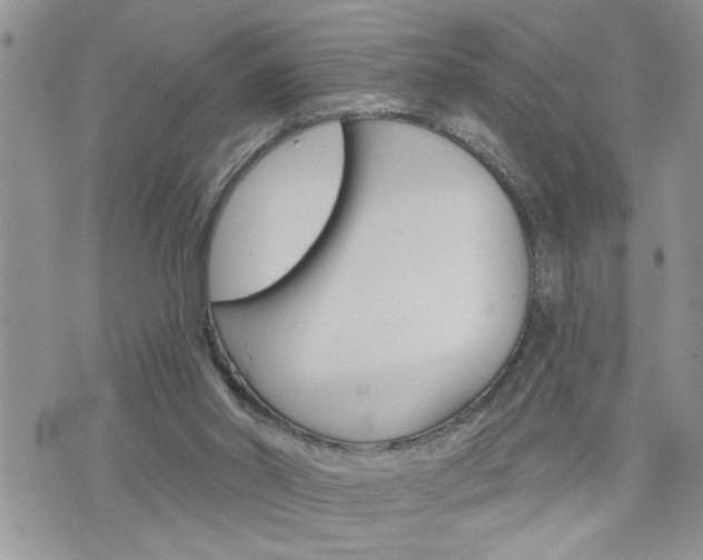 X0000076300014200609290740