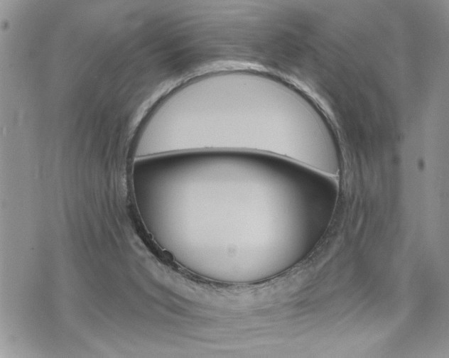 X0000076300015200609290740