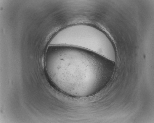 X0000076300019200609290740