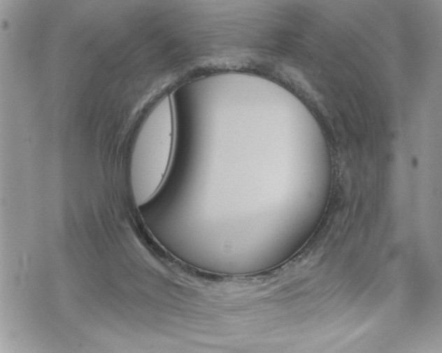 X0000076300020200609290740