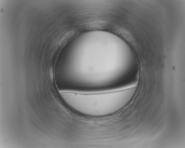 X0000076300021200609290740