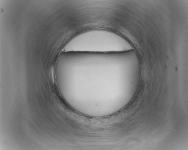 X0000076300022200609290740