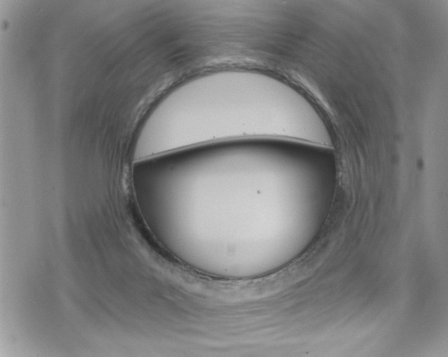 X0000076300023200609290740