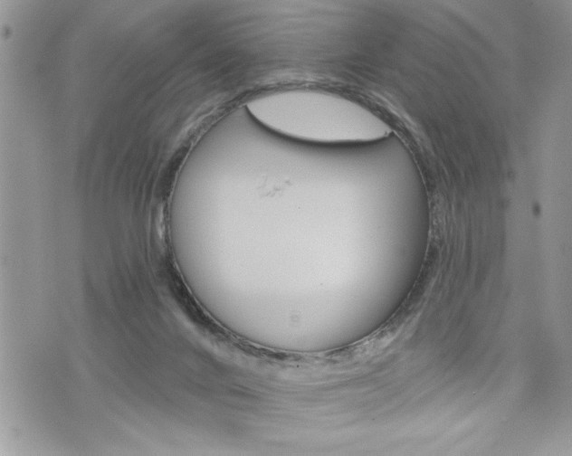 X0000076300024200609290740