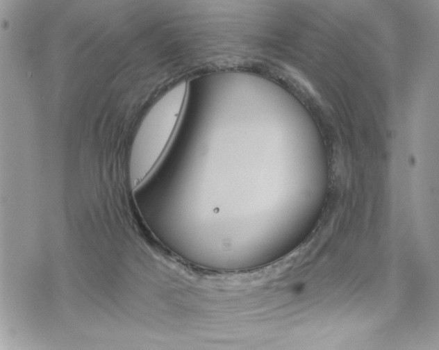 X0000076300025200609290740