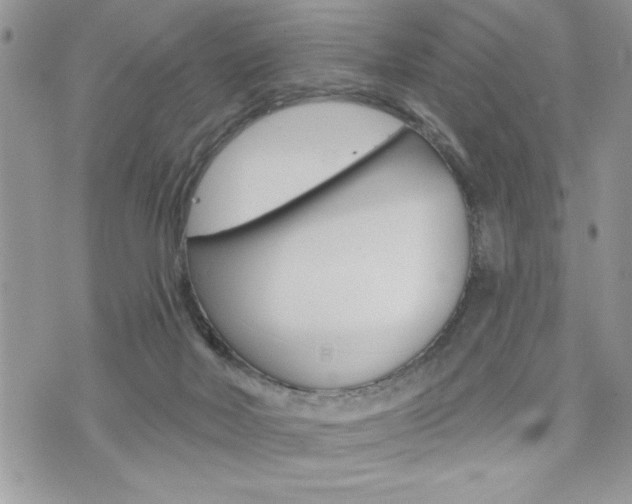 X0000076300026200609290740