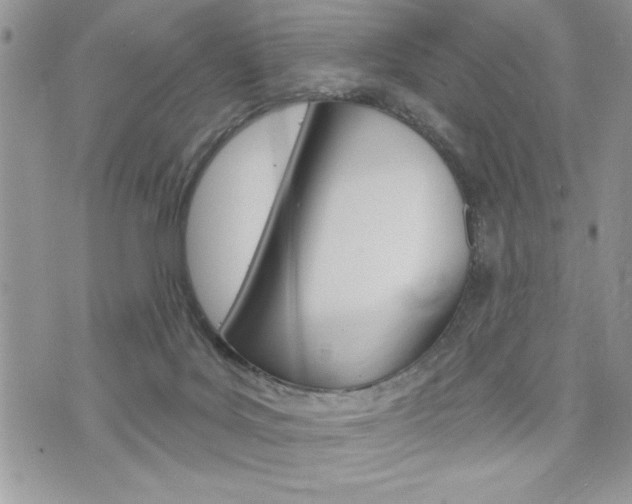 X0000076300027200609290740