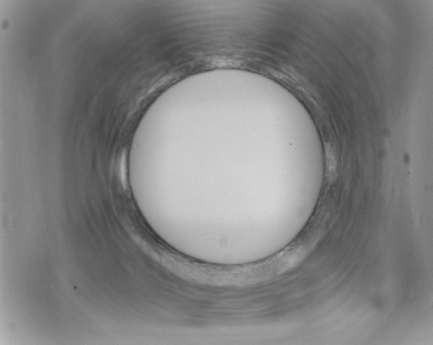 X0000076300028200609290740