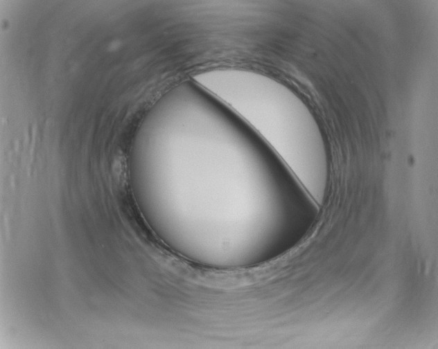 X0000076300029200609290740