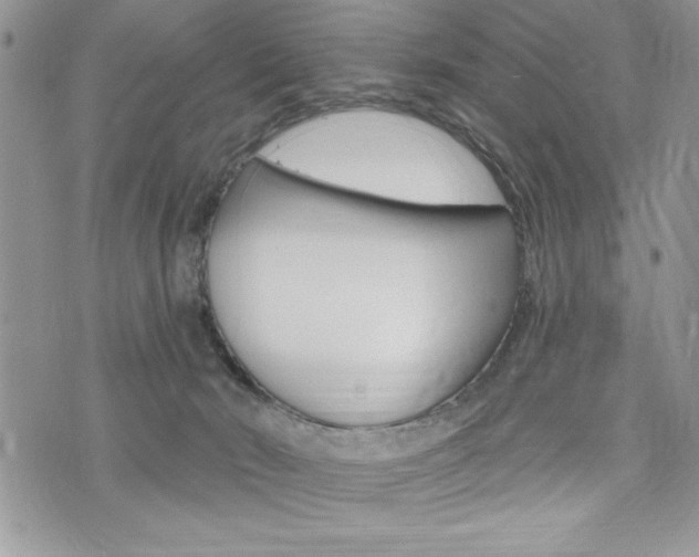 X0000076300030200609290740