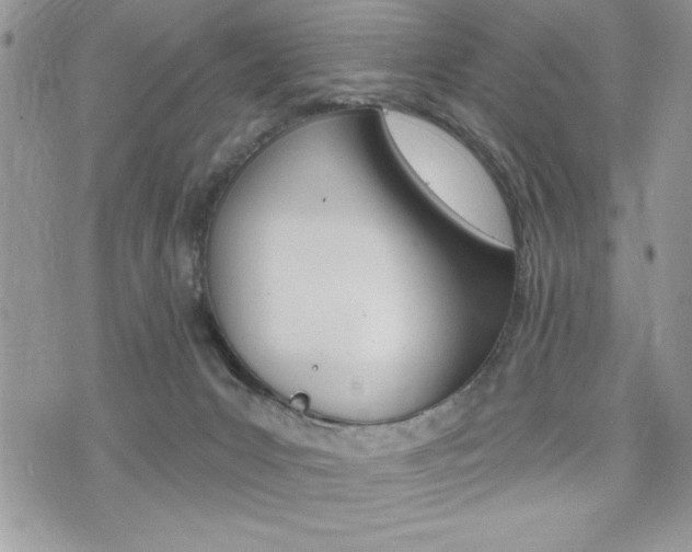 X0000076300031200609290740