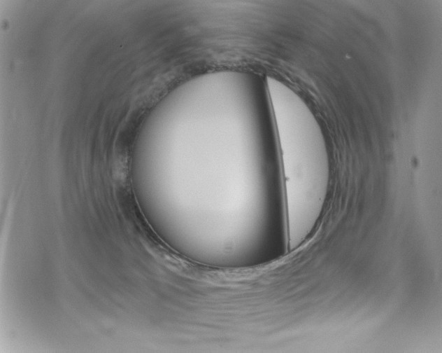 X0000076300033200609290740