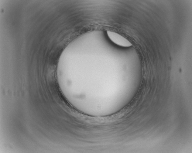 X0000076300034200609290740