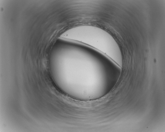 X0000076300035200609290740