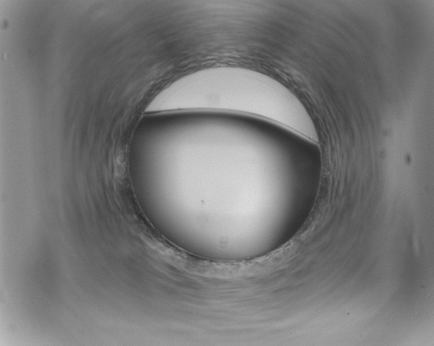 X0000076300037200609290740