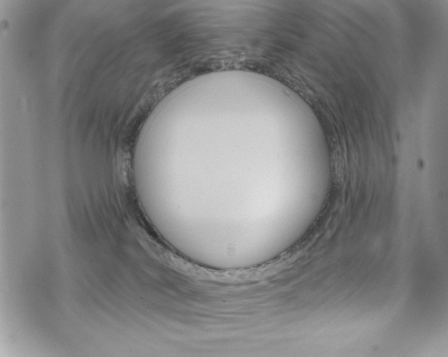 X0000076300038200609290740