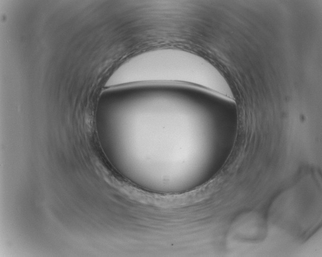 X0000076300039200609290740