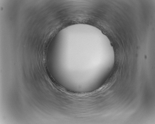 X0000076300040200609290740