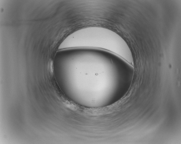 X0000076300041200609290740