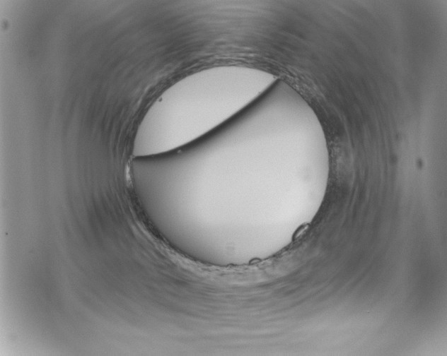 X0000076300042200609290740