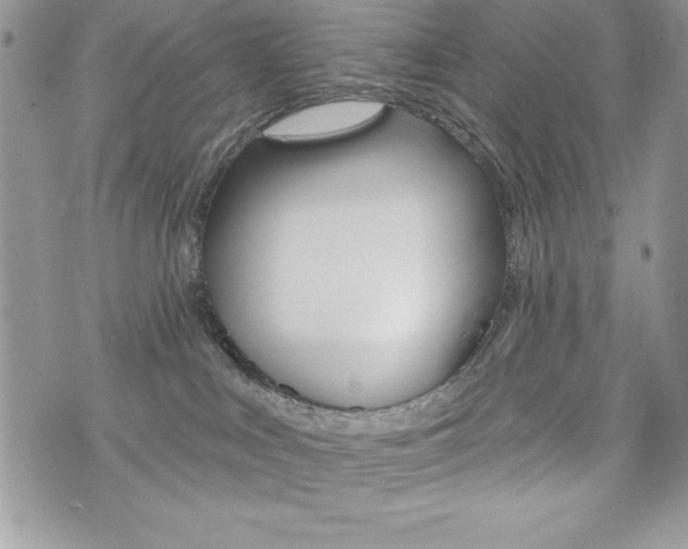 X0000076300043200609290740