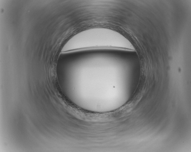 X0000076300044200609290740