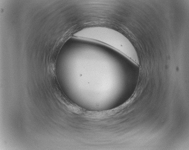 X0000076300045200609290740